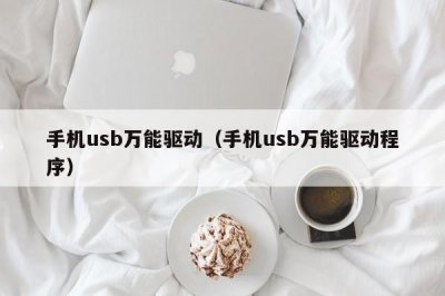 ​手机usb万能驱动（手机usb万能驱动程序）