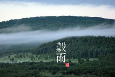 ​谷雨有哪些习俗呢（谷雨的民间习俗和节日活动有哪些）