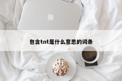 ​包含tnt是什么意思的词条