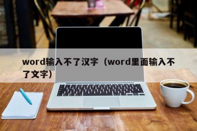 ​word输入不了汉字（word里面输入不了文字）