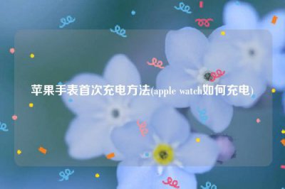 ​苹果手表首次充电方法(apple watch如何充电)