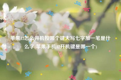 ​苹果12怎么开机按哪个键大写七字加一笔是什么字(苹果手机12开机键是哪一个)