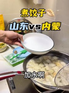 ​情侣因煮饺子时要不要加水发生争论：网友吵翻天！你那里呢