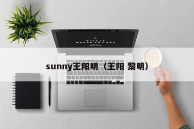 ​sunny王阳明（王阳 黎明）