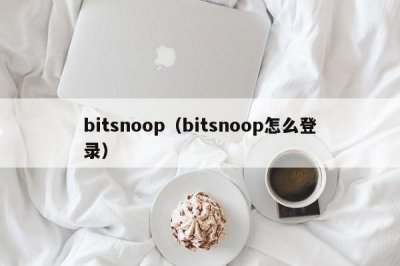 ​bitsnoop（bitsnoop怎么登录）