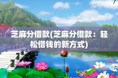 ​芝麻分借款(芝麻分借款：轻松借钱的新方式)