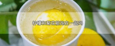 ​柠檬和菊花能泡在一起吗感冒 柠檬和菊花能泡在一起吗功效