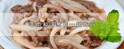 ​羊肉可以和洋葱一起吃吗早餐 羊肉可以和洋葱一起吃吗宝宝