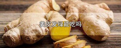 ​姜皮发绿能吃吗图片 姜皮发绿可以吃吗