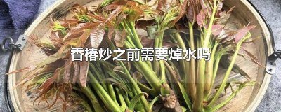 ​香椿芽炒之前用焯水吗 香椿炒的时候要焯水吗