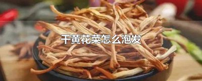 ​怎么做干黄花菜炒肉丝 肉丝炒黄花菜怎么做好吃窍门