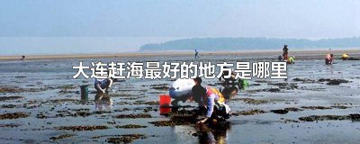 ​大连赶海最好的地方是哪里呀 大连哪有赶海的地方