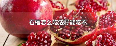 ​石榴怎么吃的籽能吃吗 石榴可以吃籽嘛