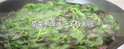 ​焯苋菜的水能吃吗 吃苋菜用不用焯水