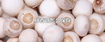 ​洗过的鲜香菇怎么保存 买的鲜香菇怎么保存