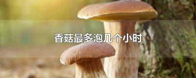 ​香菇泡多长时间就不能吃了 香菇泡半个小时可以吃吗