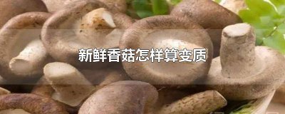 ​香菇怎样判断是否变质图片 香菇如何判断是否变质