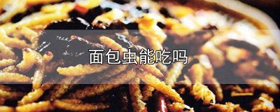 ​面包虫能吃吗? 面包虫能吃吗?虫的粪便怎么处理