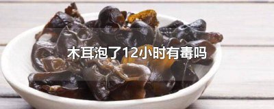 ​木耳泡八个小时有毒吗 木耳泡了7小时有毒吗