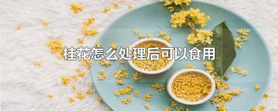 ​桂花如何处理才能食用 桂花怎么处理才能吃