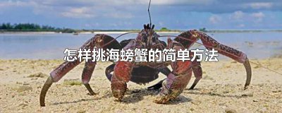 ​海螃蟹挑选小窍门怎么挑螃蟹 挑选海螃蟹的技巧