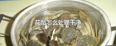 ​花蟹如何清洗处理干净图解 花蟹的清洗方法