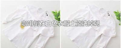 ​咖啡沾白衣服洗得掉吗 白色衣服弄到咖啡洗的掉吗图片