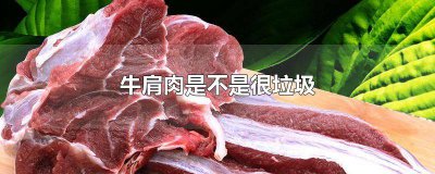 ​牛肩肉是最差的吗 牛肩肉不好吃怎么办呢