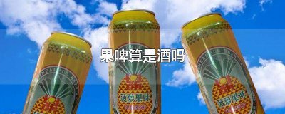 ​啤酒算酒吗? 啤酒是果酒吗