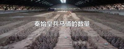 ​秦始皇兵马俑的数量和种类 秦始皇兵马俑的数量样子种类地理位置