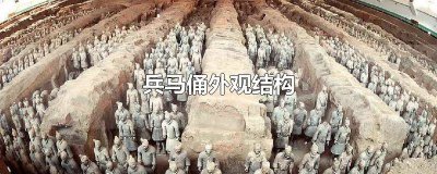 ​兵马俑外观结构简介50字 兵马俑外观结构特点