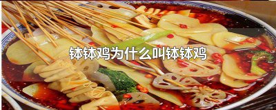 ​钵钵鸡是什么样的 钵钵鸡是个啥