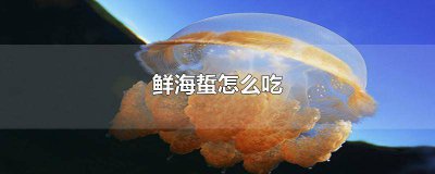 ​鲜海蜇怎么吃法 鲜海蜇头怎么吃