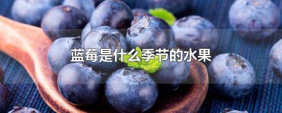 ​蓝莓是什么季节的水果图片 蓝莓是啥季节的