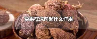 ​肉豆蔻炖肉起什么作用 煮肉放肉蔻的作用