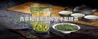 ​什么是半发酵茶和全发酵茶 青茶是什么发酵程度茶