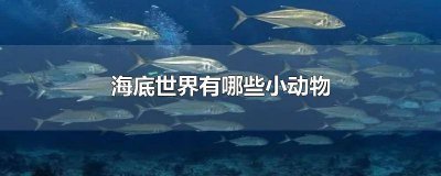 ​海底世界有哪些小动物名字英文 海底世界有什么动物名字