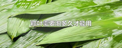 ​粽叶一般要泡多久 粽叶需要泡多长时间?