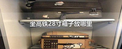 ​坐高铁能带28寸箱子吗 高铁上面可以放28寸的箱子吗