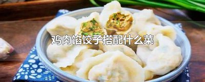 ​鸡肉和什么菜包饺子搭配最好 鸡肉和什么菜搭配做饺子馅最好