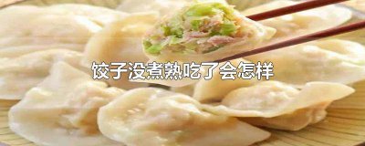 ​饺子没煮熟吃了会怎样? 煮饺子没熟吃了没事吧