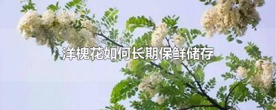 ​洋槐花怎样长时间保存 新鲜洋槐花怎么保存时间长