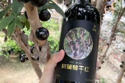 ​宝德根红酒(宝松红酒怎么样)