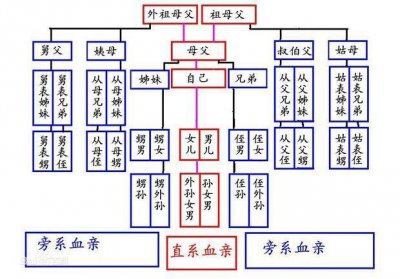 ​直系血亲包括哪些人，三代以内旁系血亲对方范围