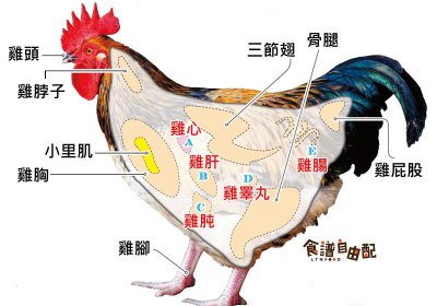 ​鸡各部位怎么吃最好吃