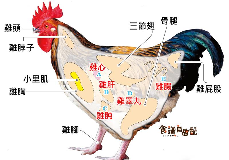 鸡各部位怎么吃最好吃