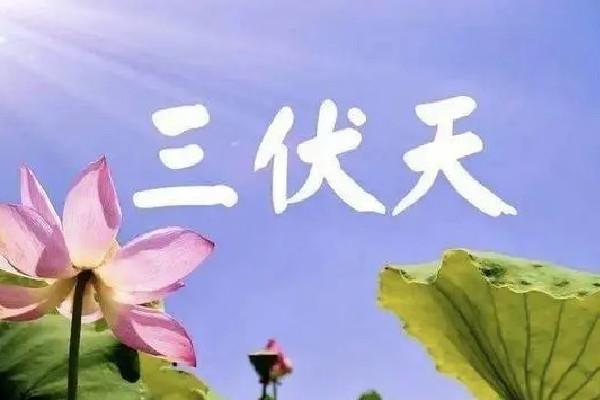 伏天有公伏和母伏之分吗 伏天有什么说法