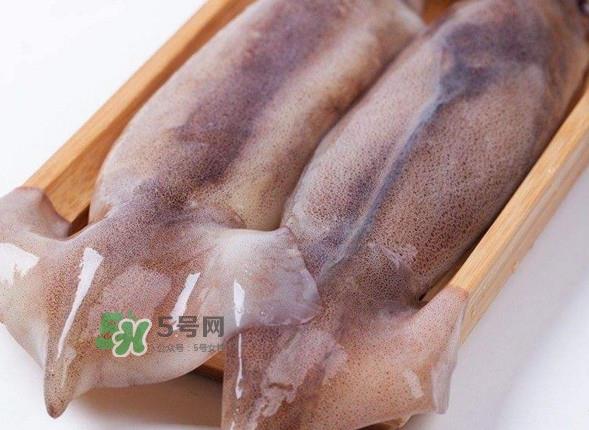 新鲜鱿鱼怎么保存？鱿鱼可以冷冻吗