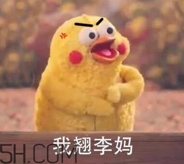 翘李妈什么意思？我翘李妈表情包