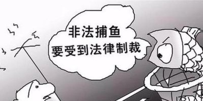 ​非法捕鱼处罚条例